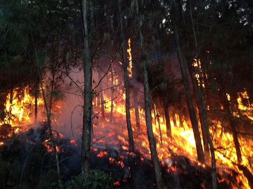 Divisao do Fogo
