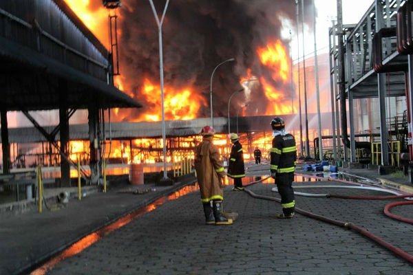 Combate a incendios e Brigadista