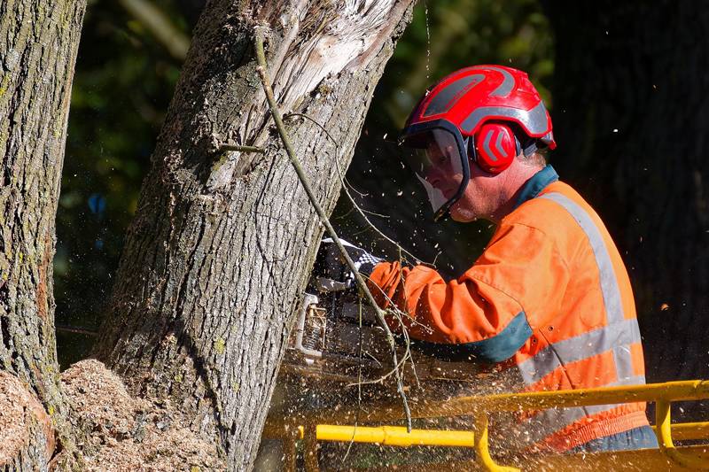 CIPA: Importância, Benefícios e Quem pode Participar